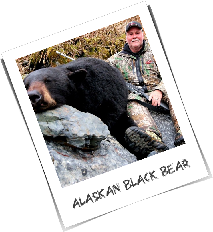 Doug Roberts - Alaskan Bear